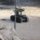 Roboter der Polizei in Isreal