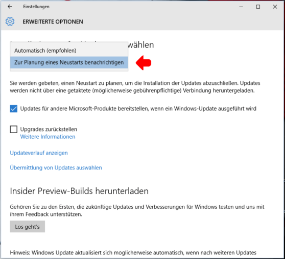 Installationsart für Updates ausgewählt